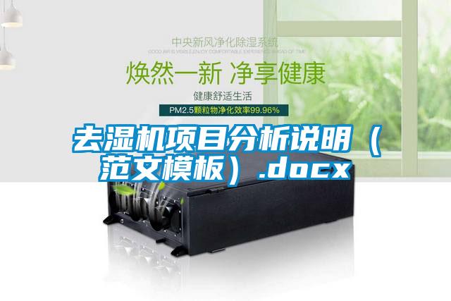 去濕機(jī)項(xiàng)目分析說明（范文模板）.docx