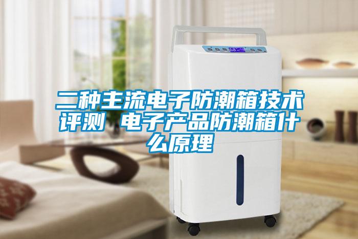 二種主流電子防潮箱技術評測 電子產品防潮箱什么原理
