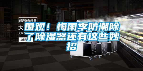 圍觀!梅雨季防潮除了除濕器還有這些妙招