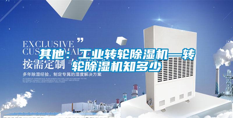 其他：工業(yè)轉(zhuǎn)輪除濕機—轉(zhuǎn)輪除濕機知多少