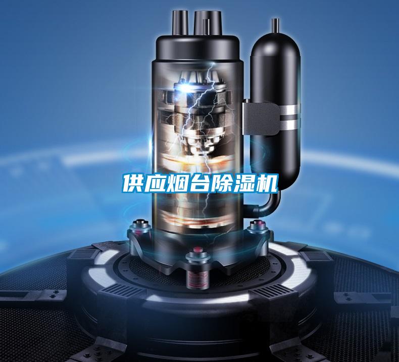 供應(yīng)煙臺(tái)除濕機(jī)