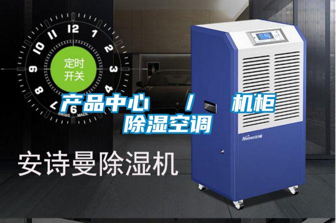 產品中心 / 機柜除濕空調