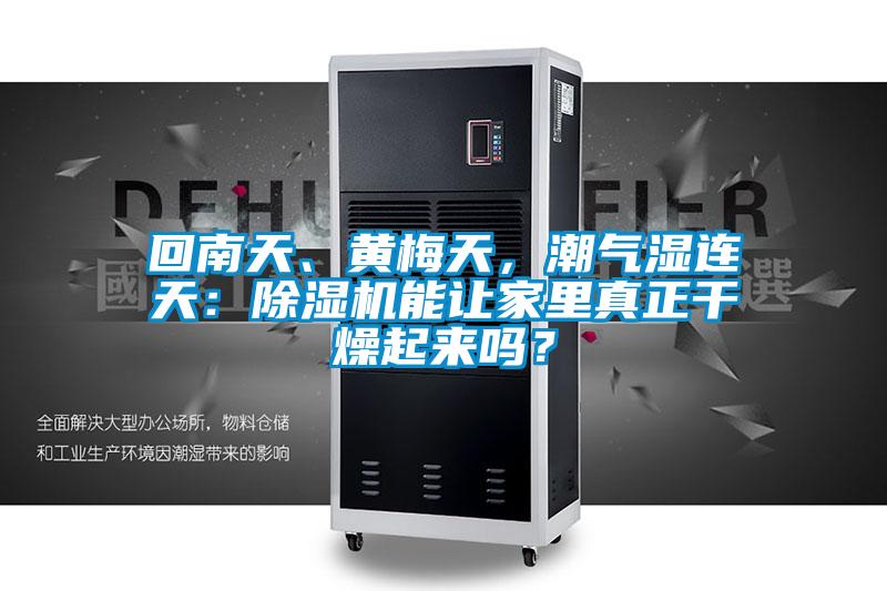 回南天、黃梅天，潮氣濕連天：除濕機能讓家里真正干燥起來嗎？