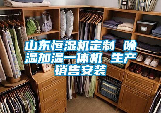 山東恒濕機定制 除濕加濕一體機 生產銷售安裝
