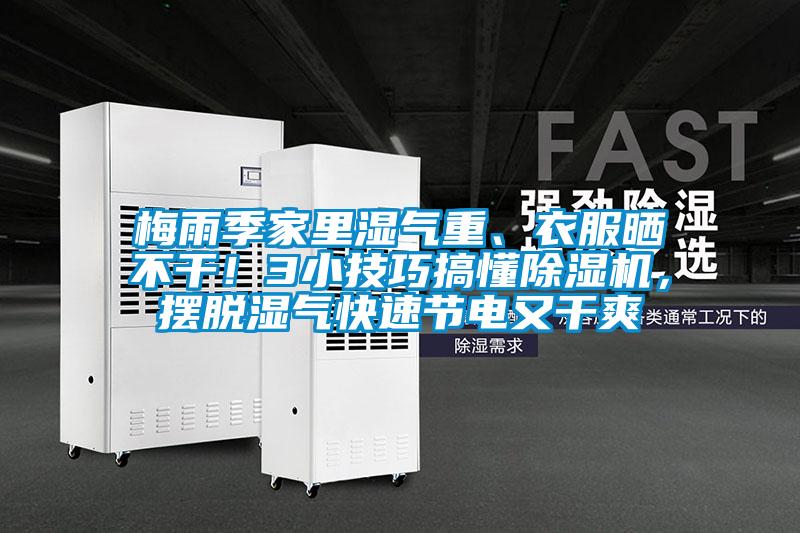 梅雨季家里濕氣重、衣服曬不干！3小技巧搞懂除濕機，擺脫濕氣快速節電又干爽