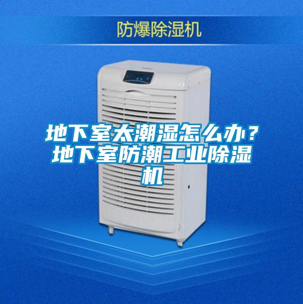 地下室太潮濕怎么辦?地下室防潮工業(yè)除濕機(jī)