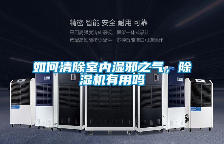 如何清除室內濕邪之氣,除濕機有用嗎