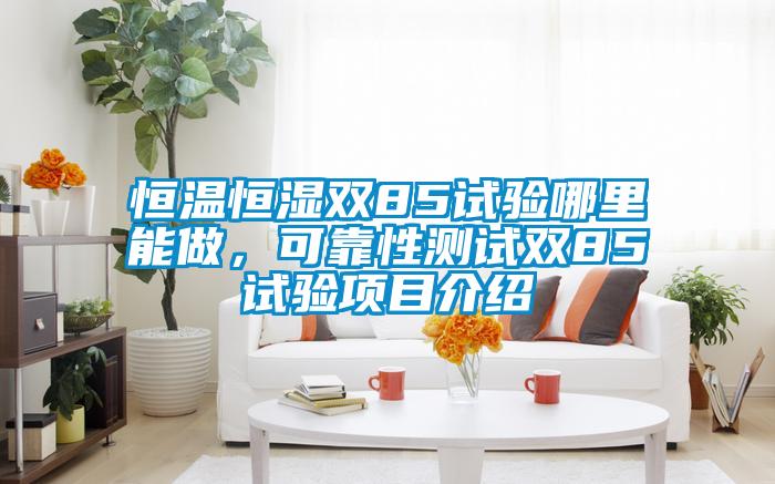 恒溫恒濕雙85試驗?zāi)睦锬茏觯煽啃詼y試雙85試驗項目介紹