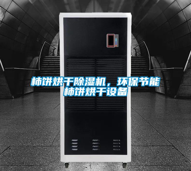 柿餅烘干除濕機，環(huán)保節(jié)能柿餅烘干設備