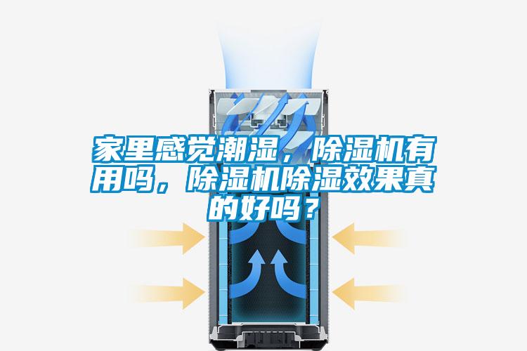 家里感覺潮濕,除濕機有用嗎,除濕機除濕效果真的好嗎?