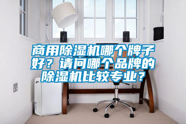 商用除濕機哪個牌子好？請問哪個品牌的除濕機比較專業？