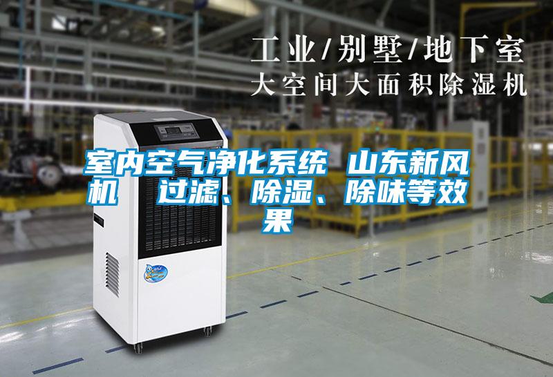 室內(nèi)空氣凈化系統(tǒng) 山東新風(fēng)機(jī) 過(guò)濾、除濕、除味等效果