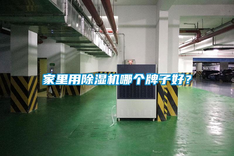 家里用除濕機哪個牌子好?