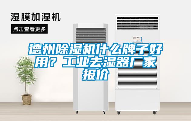 德州除濕機什么牌子好用？工業去濕器廠家報價