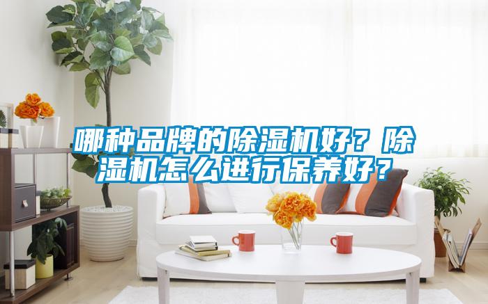 哪種品牌的除濕機好？除濕機怎么進行保養(yǎng)好？