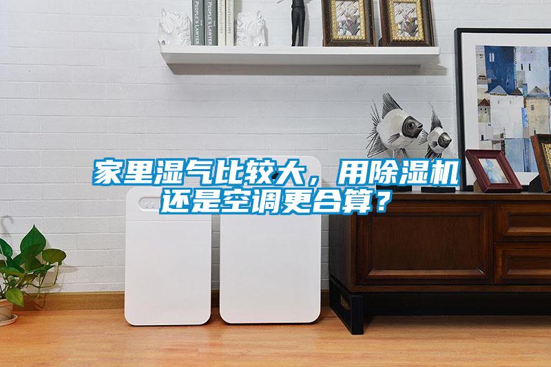 家里濕氣比較大，用除濕機還是空調更合算？