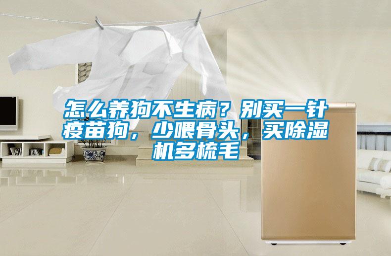 怎么養(yǎng)狗不生病？別買一針疫苗狗，少喂骨頭，買除濕機多梳毛