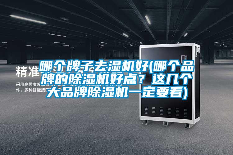 哪個(gè)牌子去濕機(jī)好(哪個(gè)品牌的除濕機(jī)好點(diǎn)?這幾個(gè)大品牌除濕機(jī)一定要看)