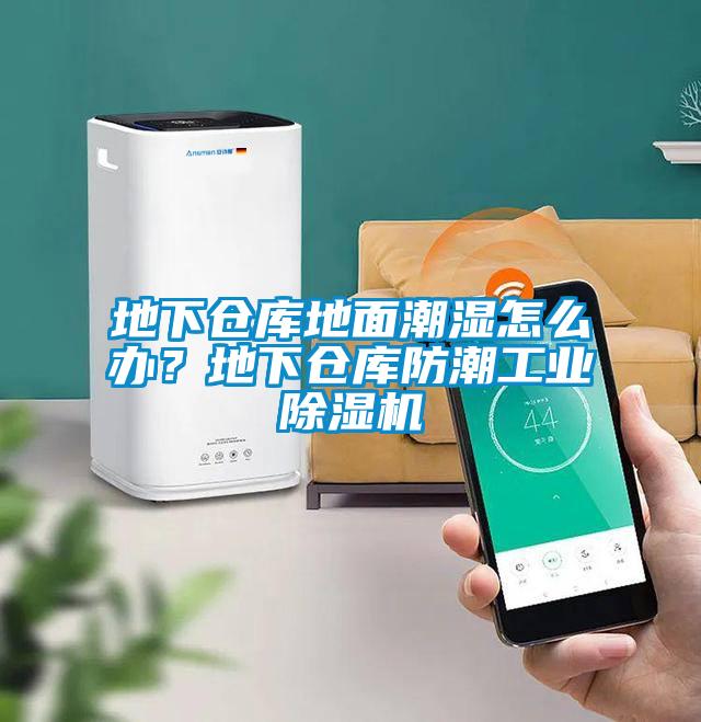 地下倉庫地面潮濕怎么辦?地下倉庫防潮工業(yè)除濕機