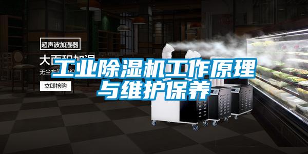 工業除濕機工作原理與維護保養
