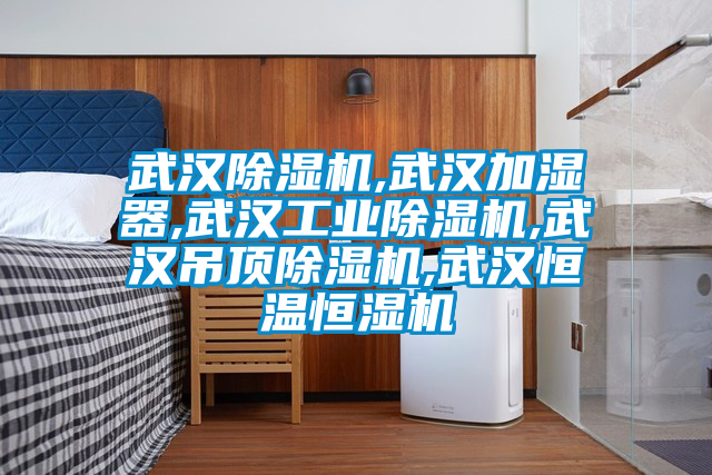 武漢除濕機,武漢加濕器,武漢工業(yè)除濕機,武漢吊頂除濕機,武漢恒溫恒濕機