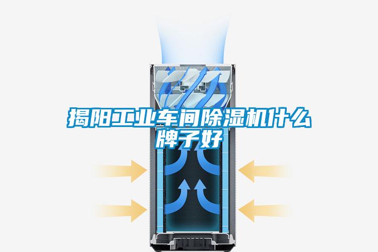 揭陽工業(yè)車間除濕機什么牌子好