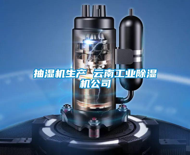 抽濕機生產 云南工業除濕機公司