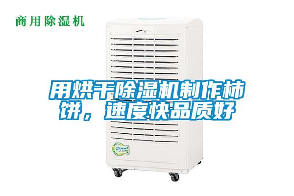 用烘干除濕機(jī)制作柿餅，速度快品質(zhì)好