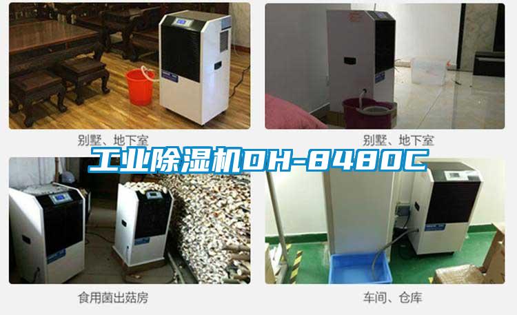 工業(yè)除濕機(jī)DH-8480C