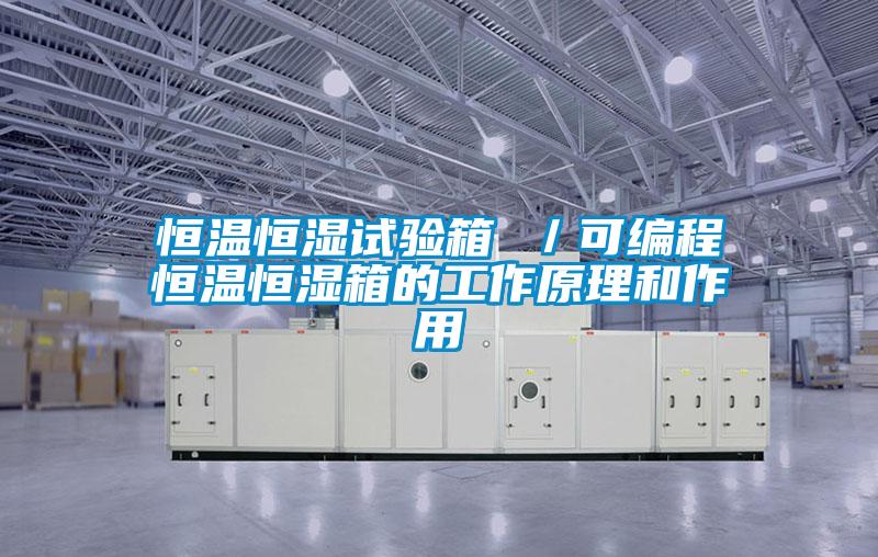 恒溫恒濕試驗(yàn)箱 /可編程恒溫恒濕箱的工作原理和作用
