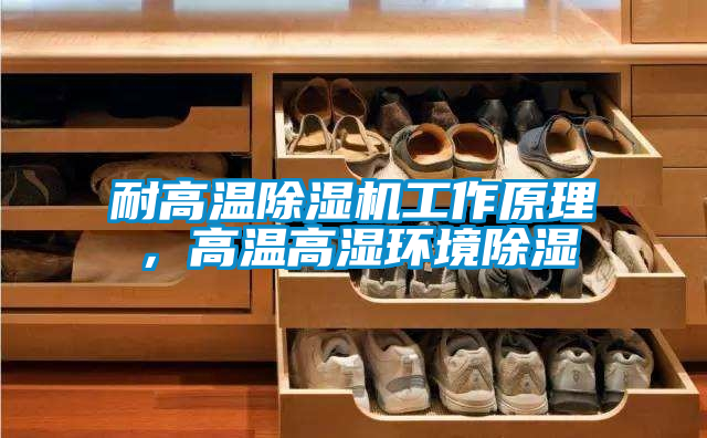 耐高溫除濕機工作原理，高溫高濕環(huán)境除濕