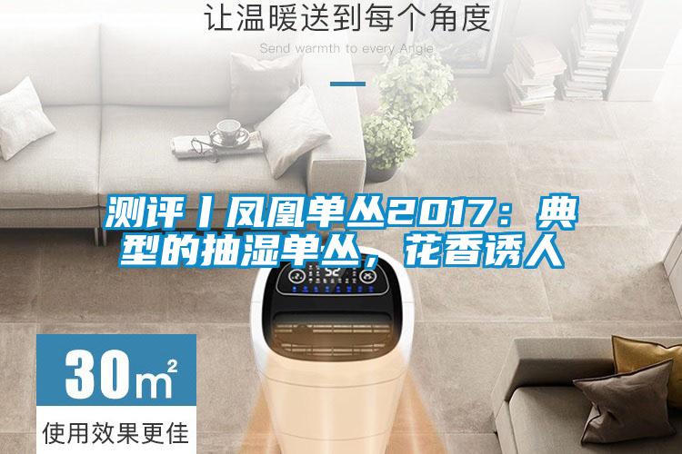 測評丨鳳凰單叢2017：典型的抽濕單叢，花香誘人