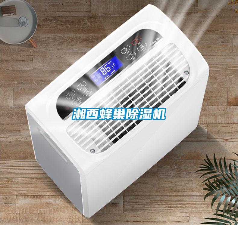 湘西蜂巢除濕機