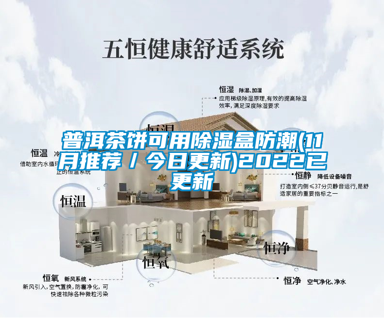 普洱茶餅可用除濕盒防潮(11月推薦/今日更新)2022已更新