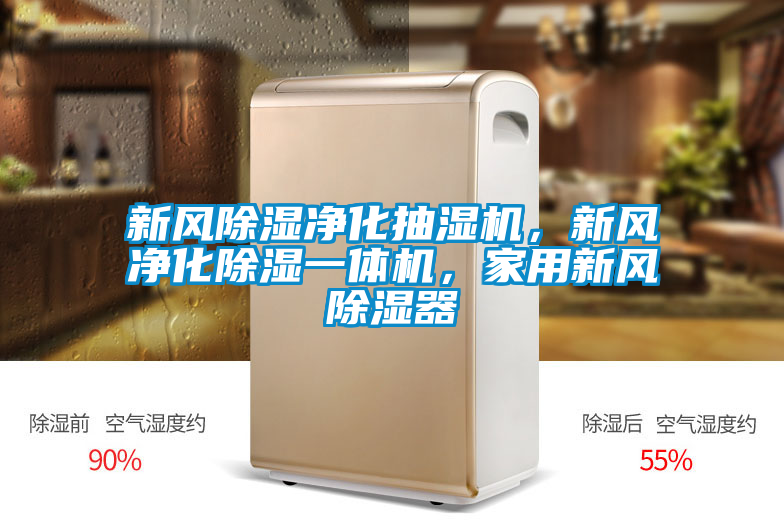 新風(fēng)除濕凈化抽濕機(jī),新風(fēng)凈化除濕一體機(jī),家用新風(fēng)除濕器