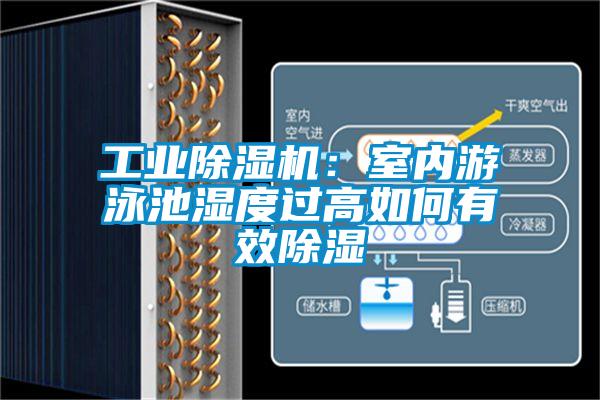 工業除濕機：室內游泳池濕度過高如何有效除濕