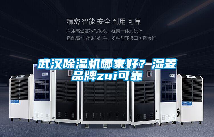 武漢除濕機哪家好?濕菱品牌zui可靠