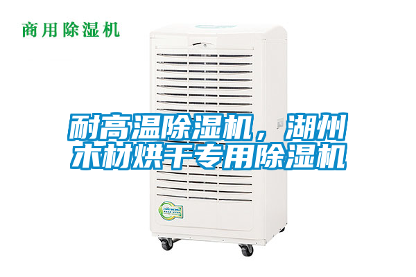 耐高溫除濕機，湖州木材烘干專用除濕機
