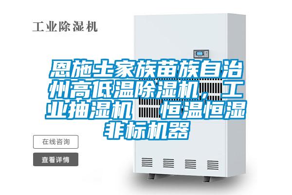 恩施土家族苗族自治州高低溫除濕機，工業抽濕機  恒溫恒濕非標機器