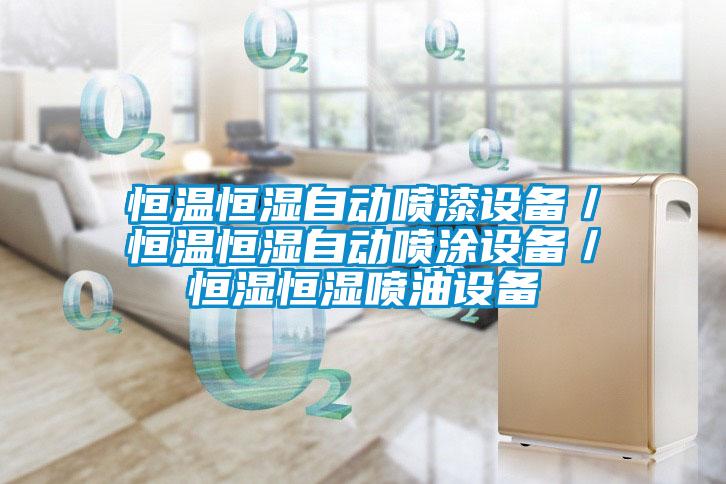 恒溫恒濕自動噴漆設備/恒溫恒濕自動噴涂設備/恒濕恒濕噴油設備