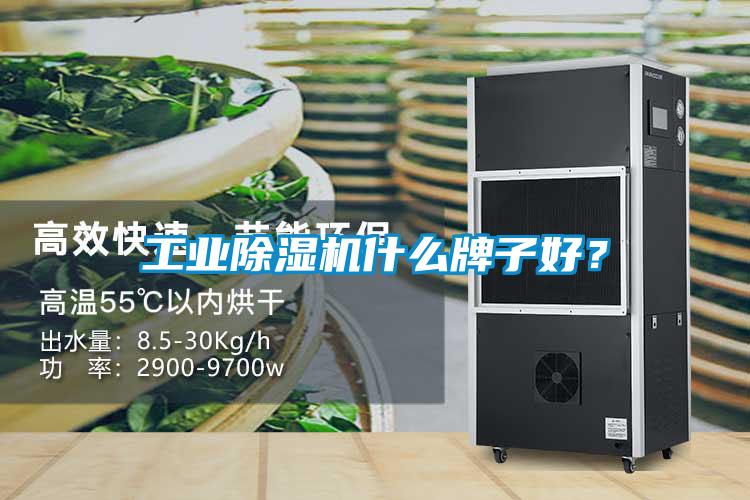 工業(yè)除濕機(jī)什么牌子好?