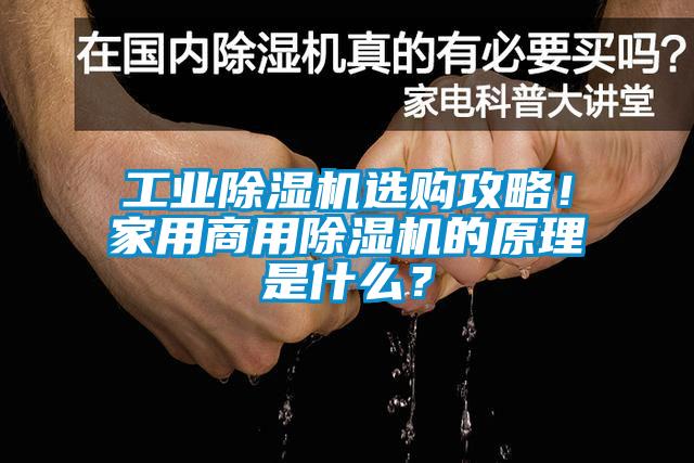 工業(yè)除濕機選購攻略！家用商用除濕機的原理是什么？