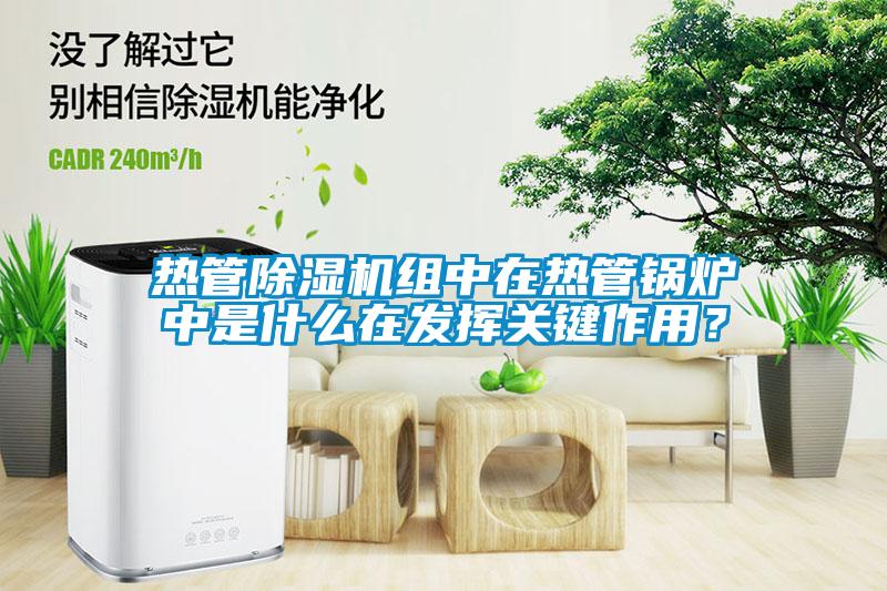 熱管除濕機組中在熱管鍋爐中是什么在發(fā)揮關鍵作用？