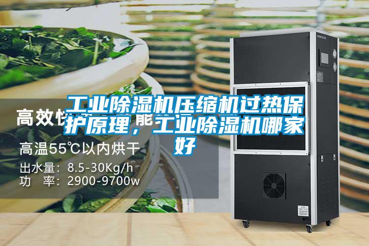 工業除濕機壓縮機過熱保護原理，工業除濕機哪家好