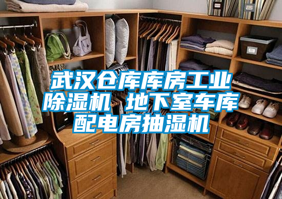 武漢倉庫庫房工業(yè)除濕機(jī) 地下室車庫配電房抽濕機(jī)