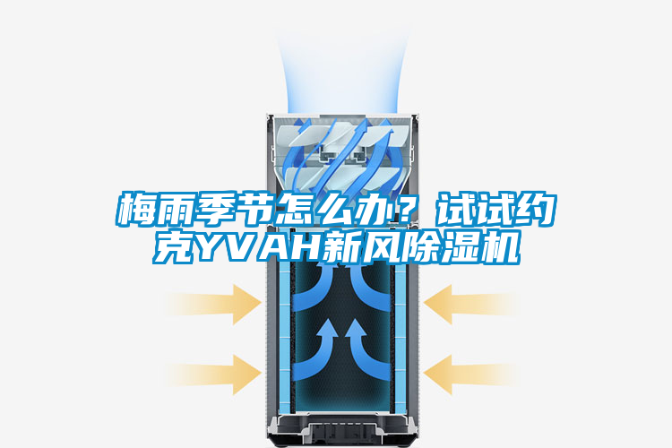 梅雨季節(jié)怎么辦?試試約克YVAH新風(fēng)除濕機(jī)