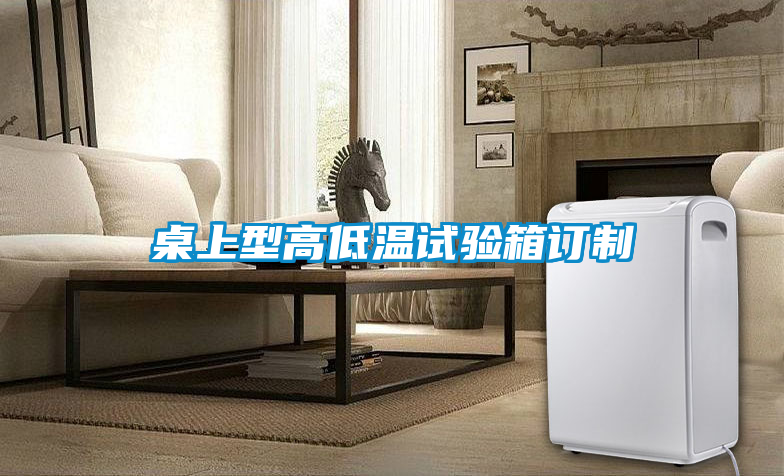 桌上型高低溫試驗(yàn)箱訂制