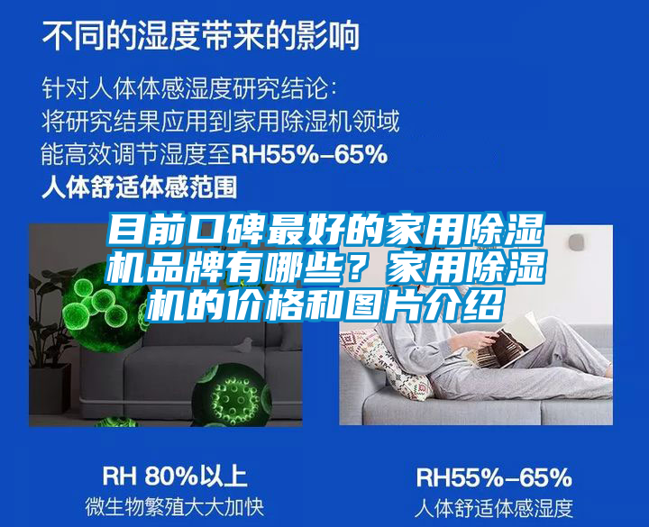 目前口碑最好的家用除濕機品牌有哪些？家用除濕機的價格和圖片介紹