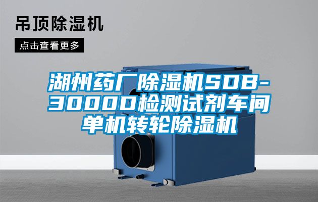 湖州藥廠除濕機(jī)SDB-3000D檢測(cè)試劑車間單機(jī)轉(zhuǎn)輪除濕機(jī)