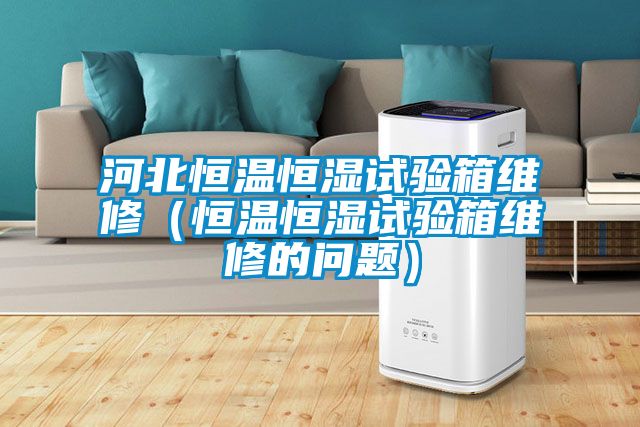 河北恒溫恒濕試驗(yàn)箱維修（恒溫恒濕試驗(yàn)箱維修的問(wèn)題）